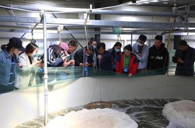 科技助力发展 渤海水产打造环保高效新生产模式