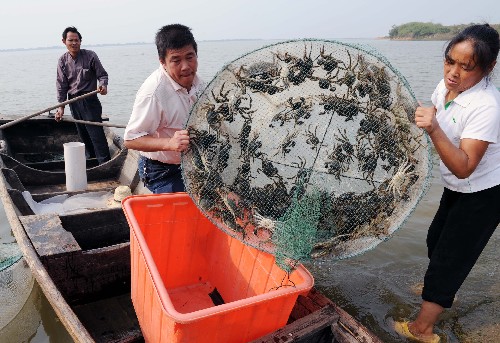 特色水产养殖带动农民致富